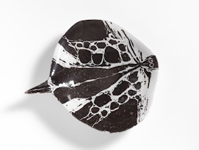 Fish Dish